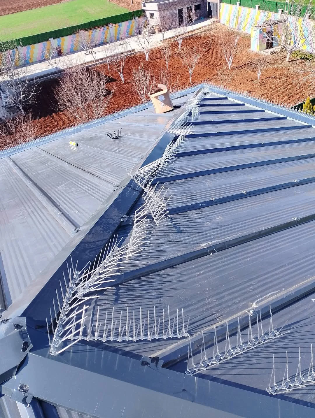 Kuş konmaz kenet çatı